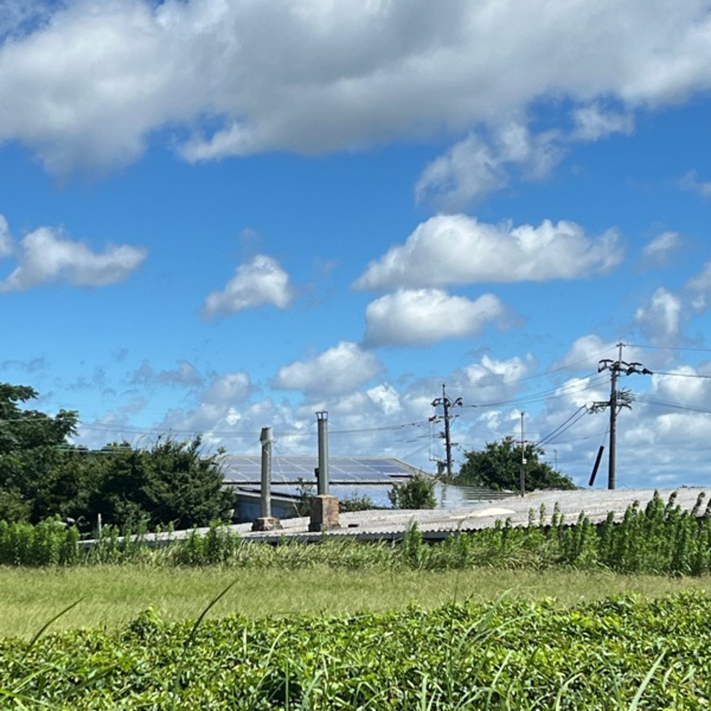 台風10号、大難が小難、小難が無難で過ごされますように