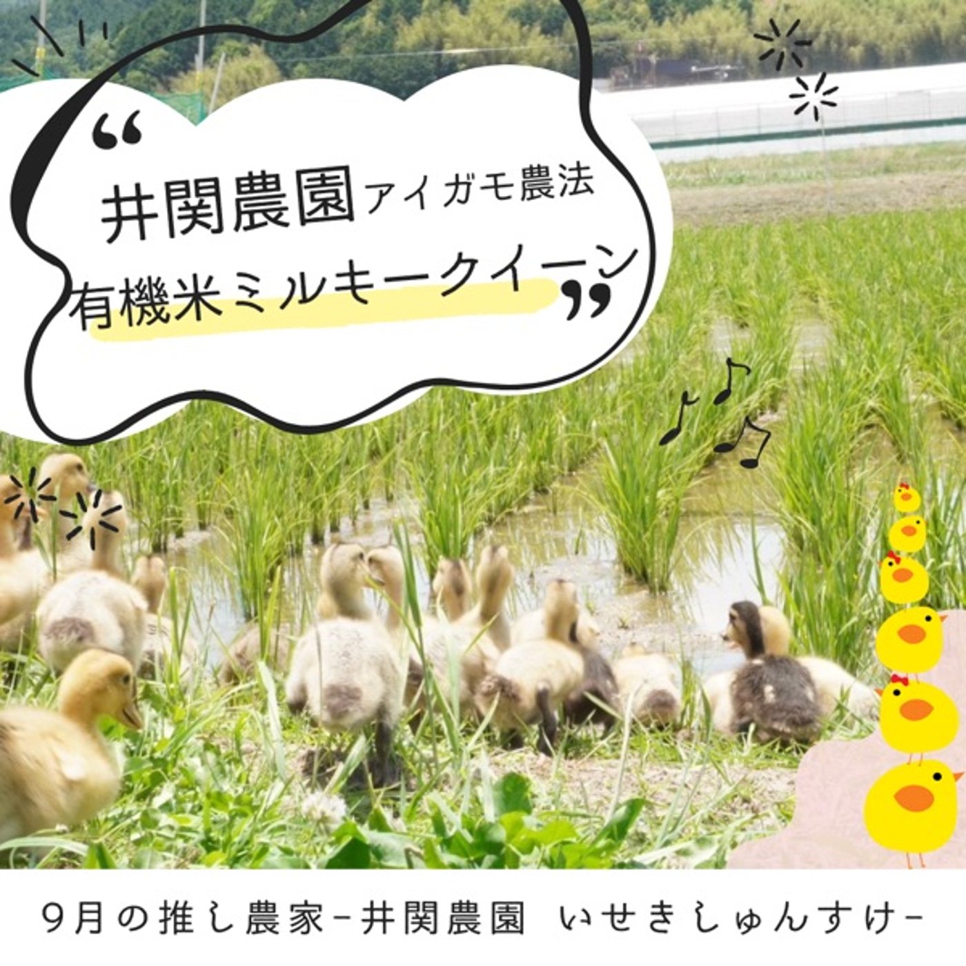 【今月の推し農家】いせきしゅんすけさん episode artwork