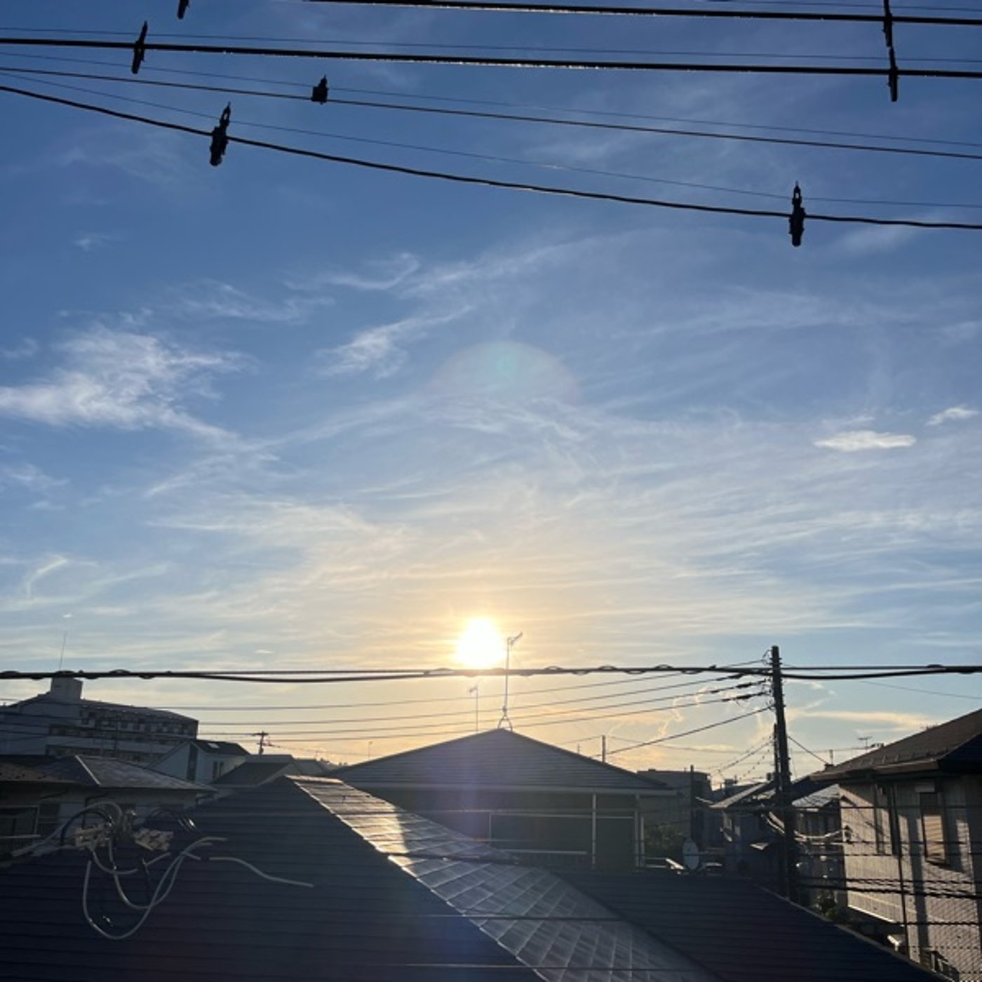 #0806 台風一過の清々しい朝です