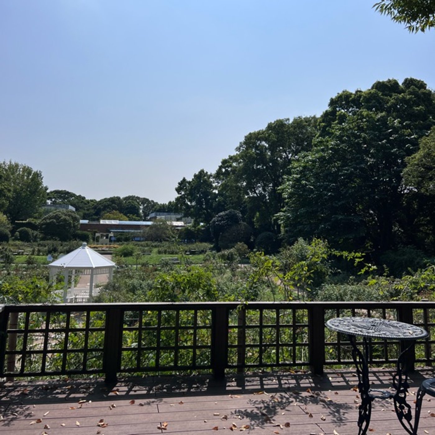 あるかないか