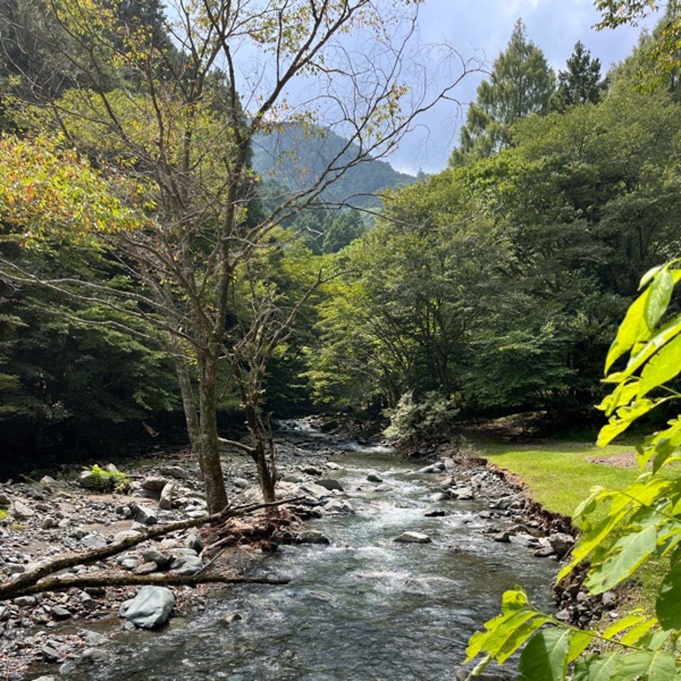 #0813 丹沢の山奥で気づいた