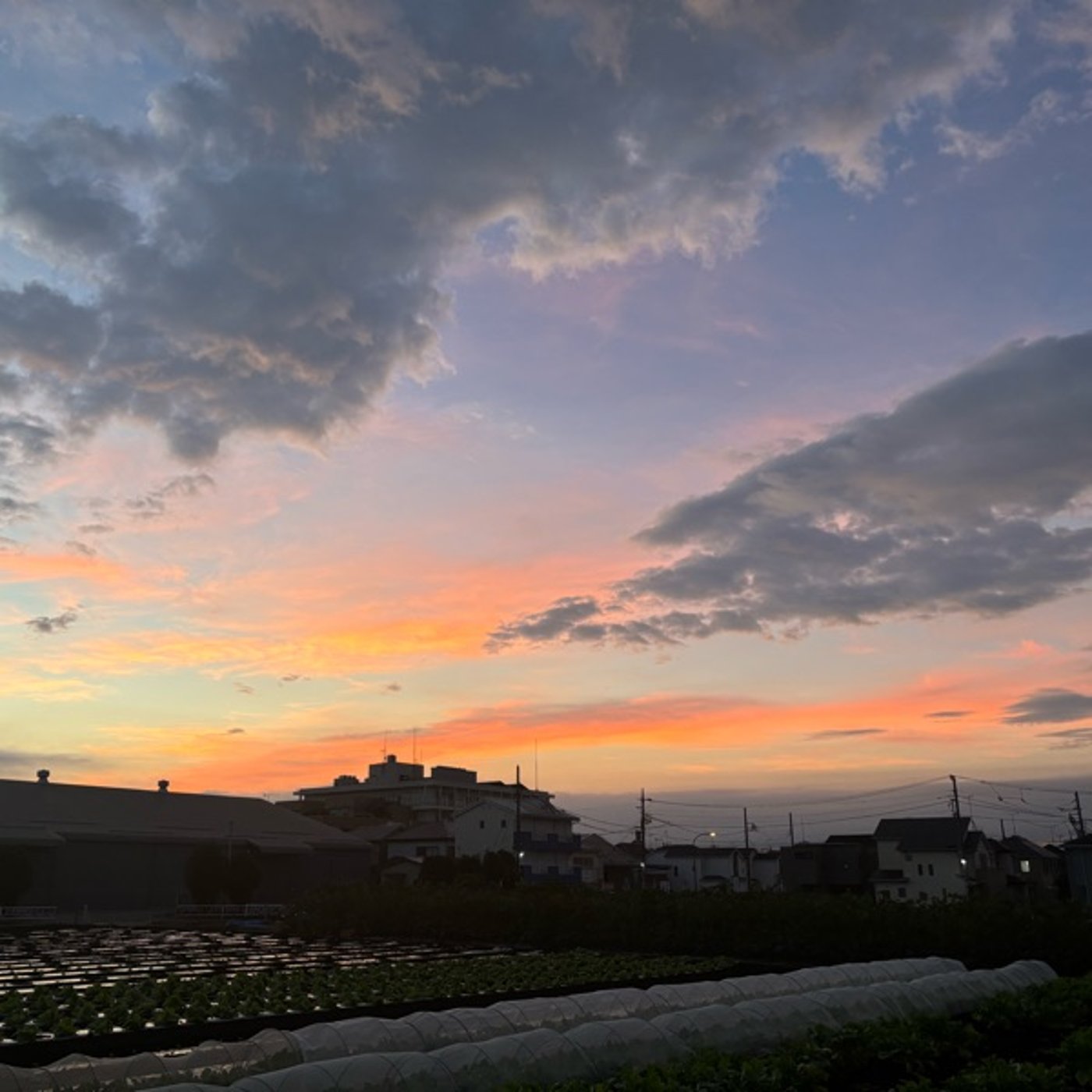「理」9月19日の神様からのメッセージ