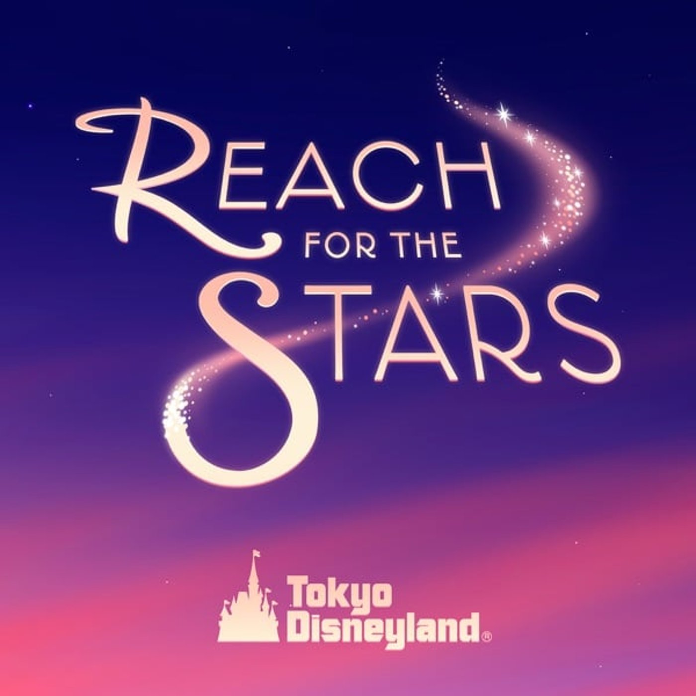 【ネタバレ】Reach for the Stars(リーチフォーザスターズ)感想