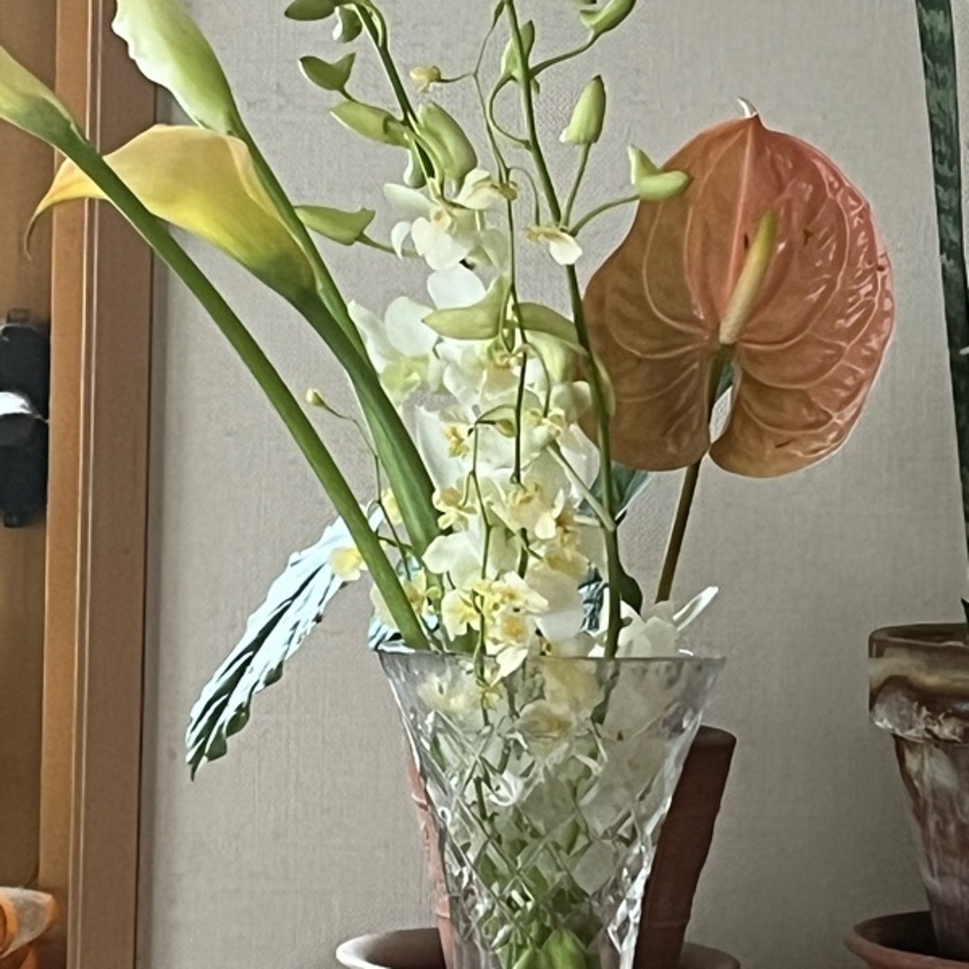 花嫁さんのベールダウンの意味って知ってますか？ episode artwork