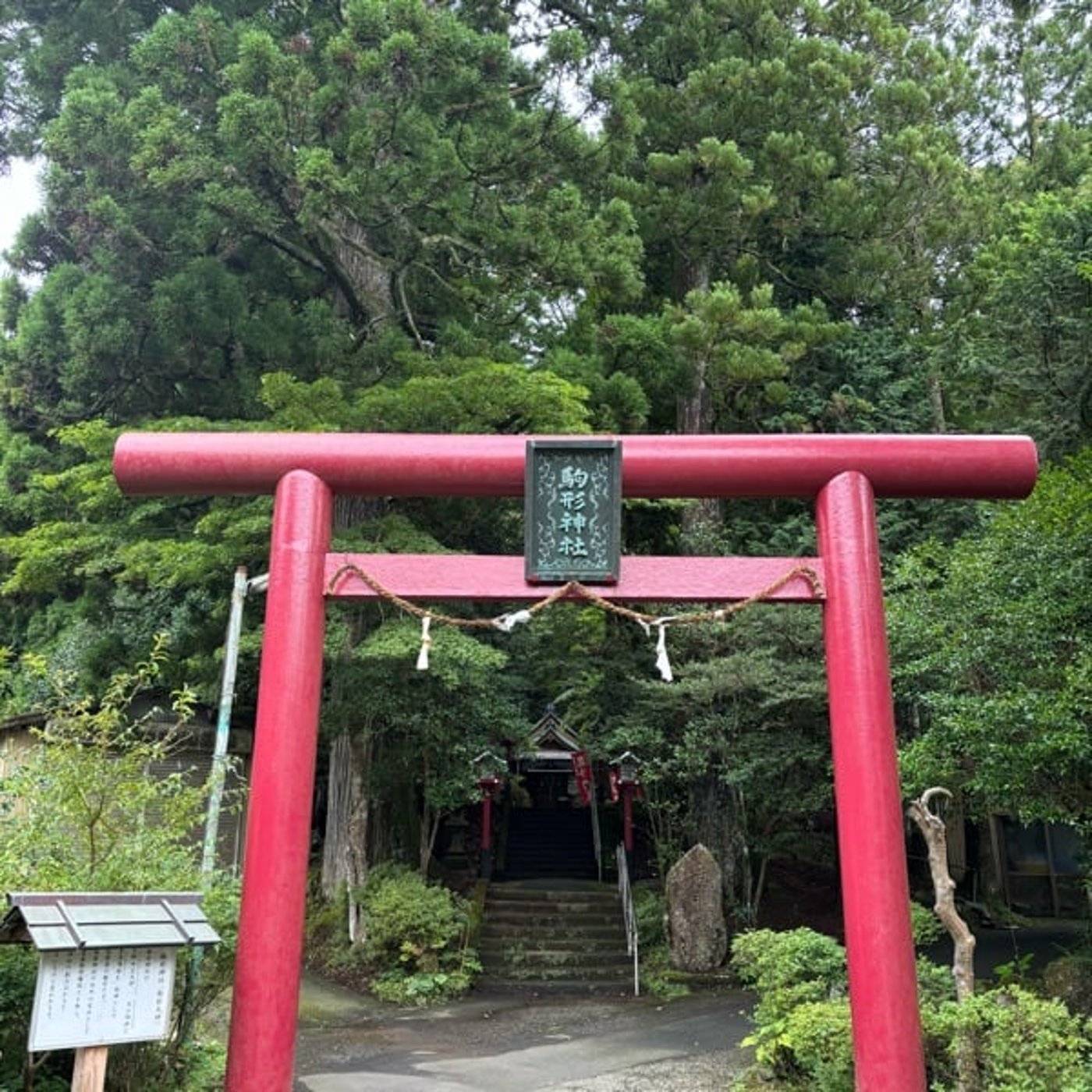 「在」9月26日の神様からのメッセージ