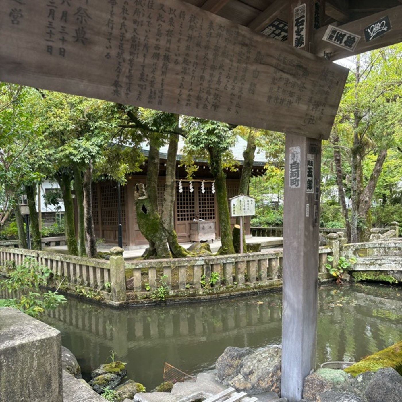「風」10月3日の神様からのメッセージ