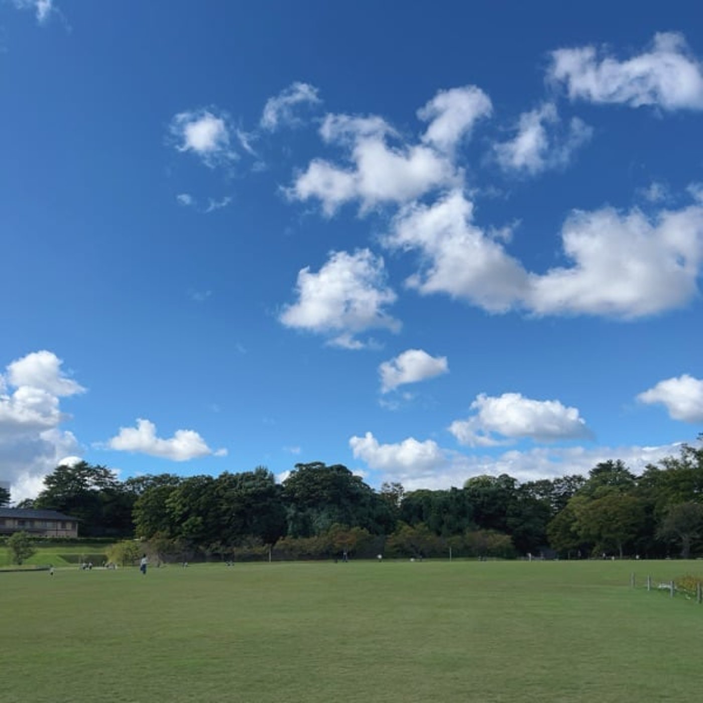 自己紹介します！　なぜ　四柱推命鑑定士になったのか⁉️