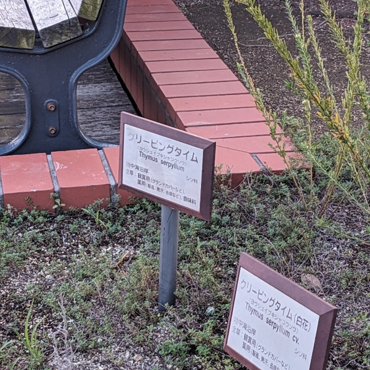 「こんな夫婦喧嘩はいやだ、どんな夫婦喧嘩？」