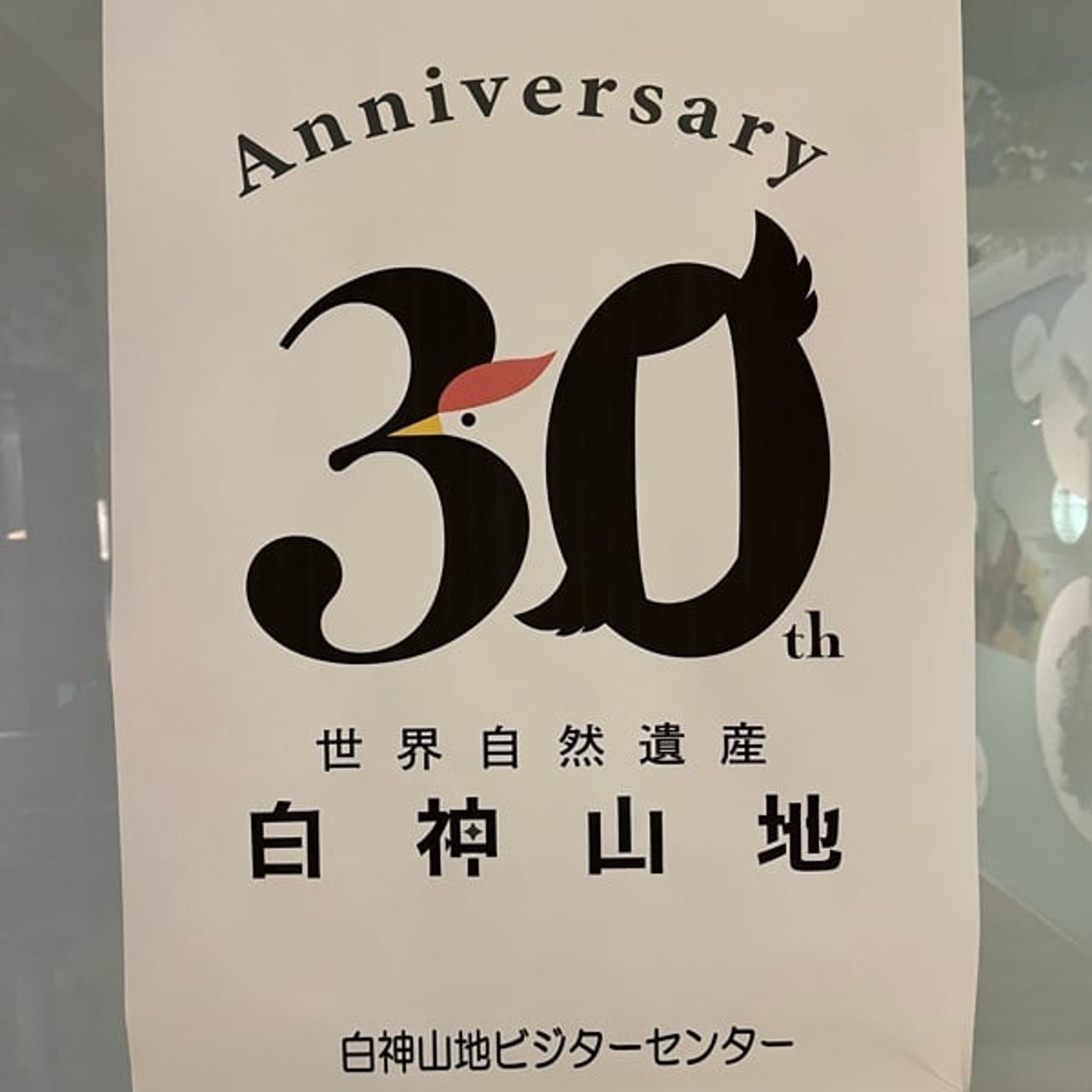 #13【青森】白神山地の広大な景色