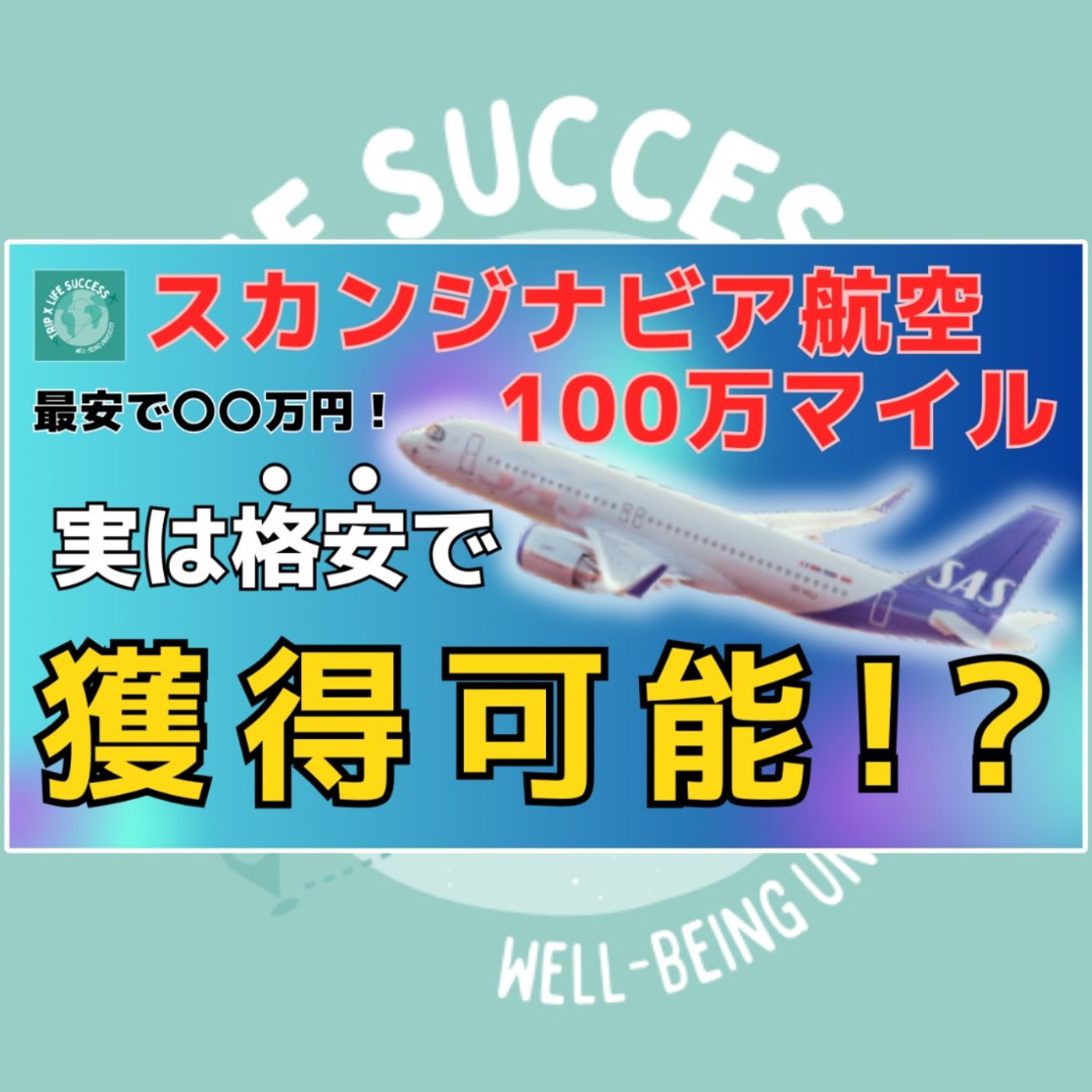 【たった〇〇万円⁉︎】スカンジナビア航空100万マイル格安で獲得可能!? episode artwork