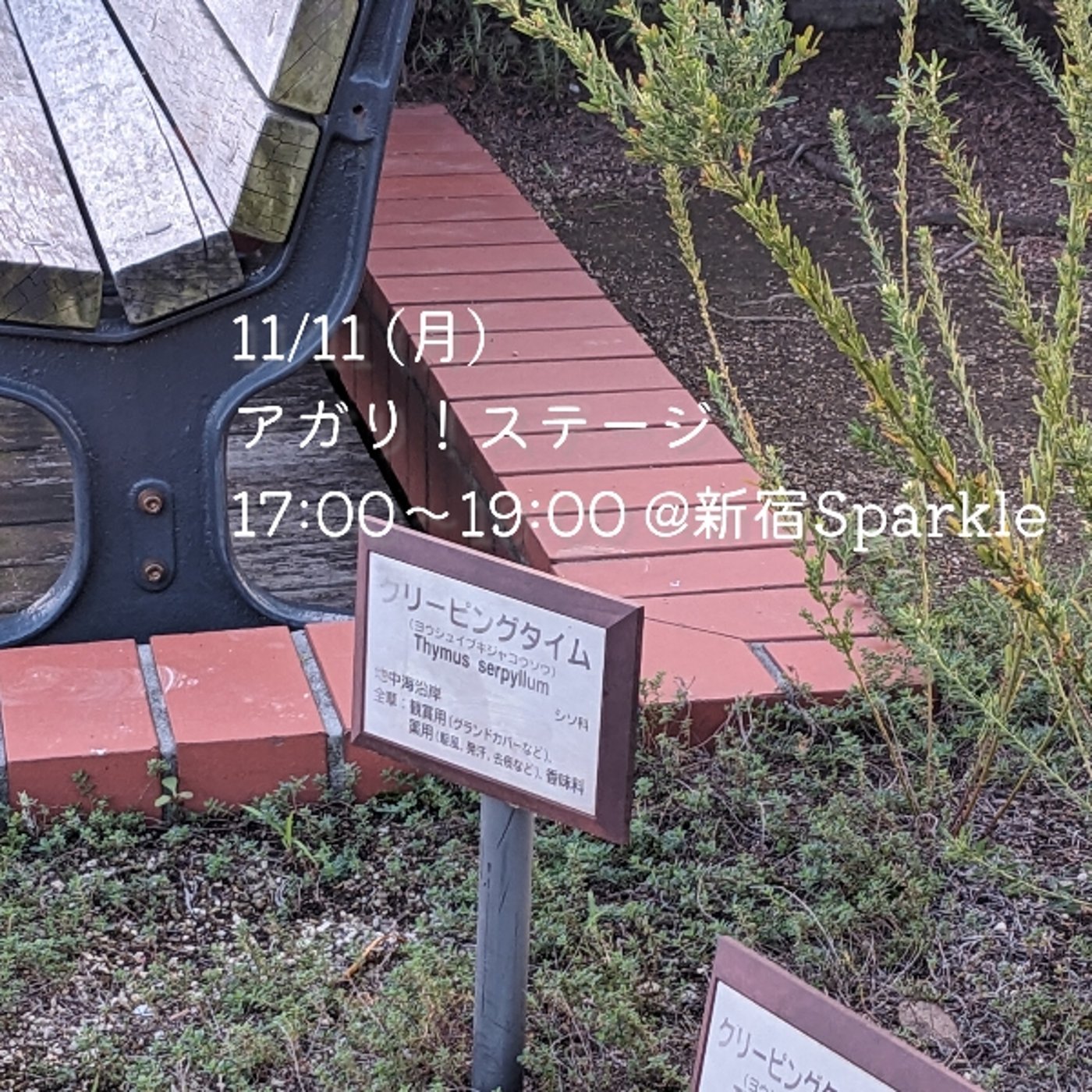 「花粉側の気持ち」