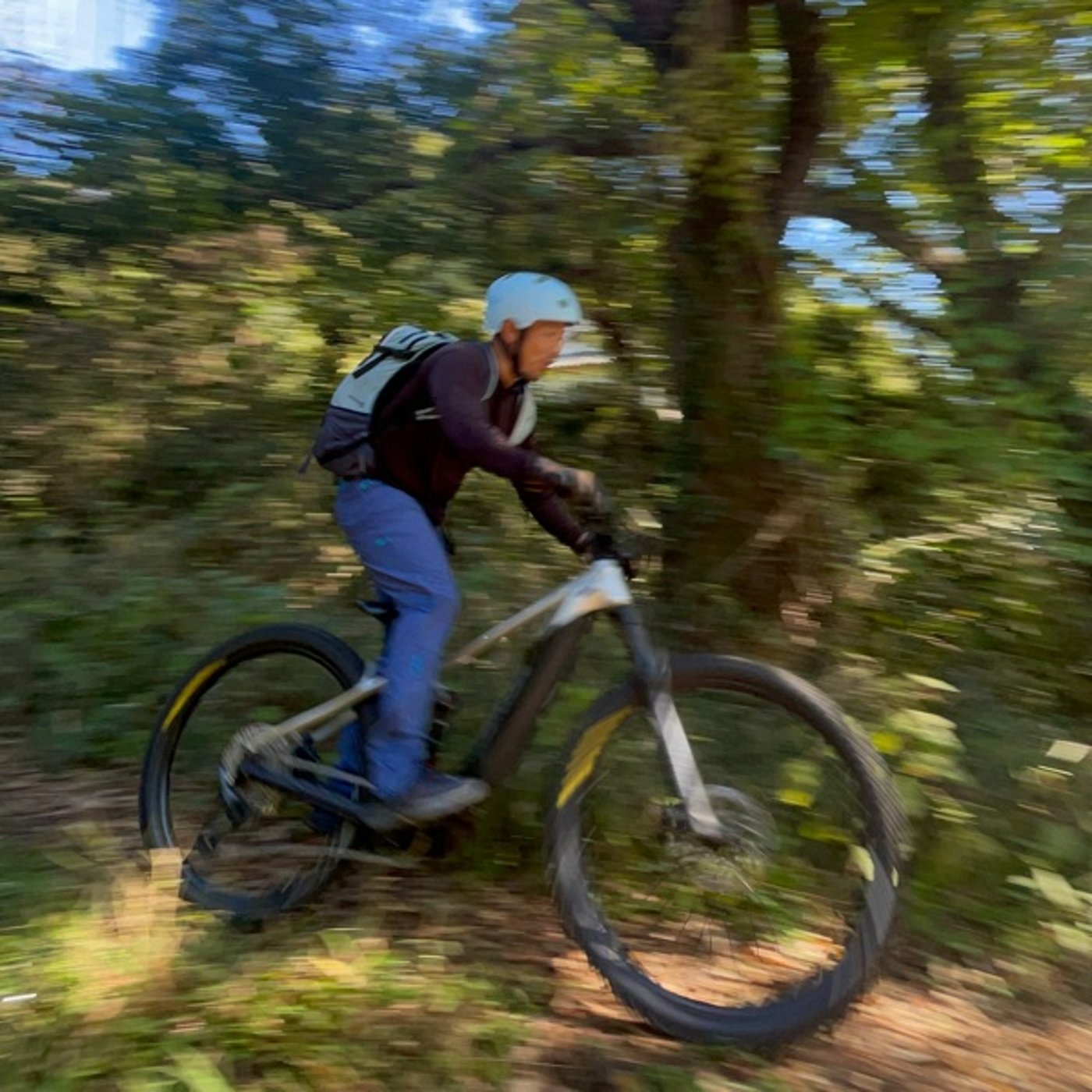 #0875 MTBトレイルライドが気持ちよかった
