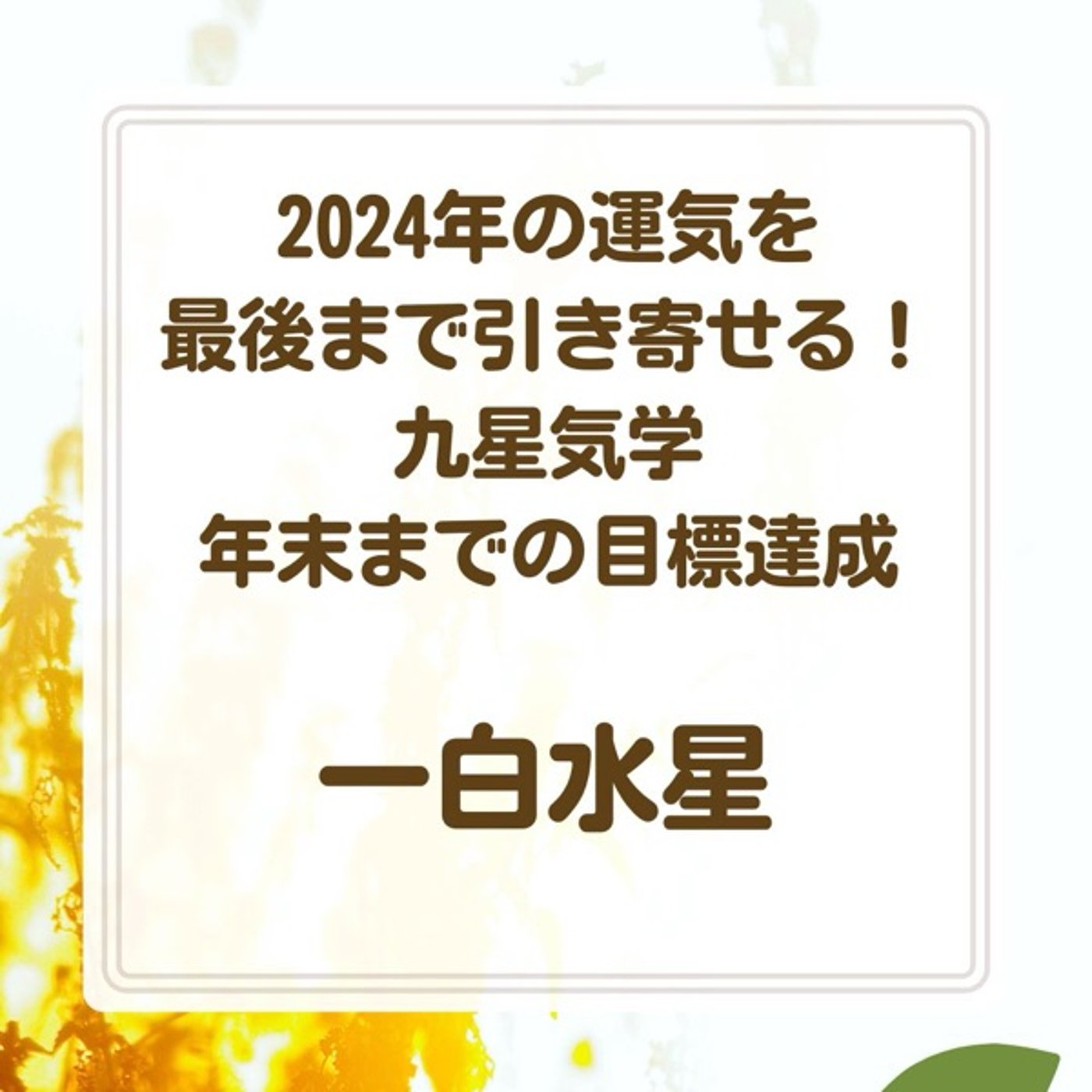 一白水星　2024年の運気を最後まで引き寄せる！