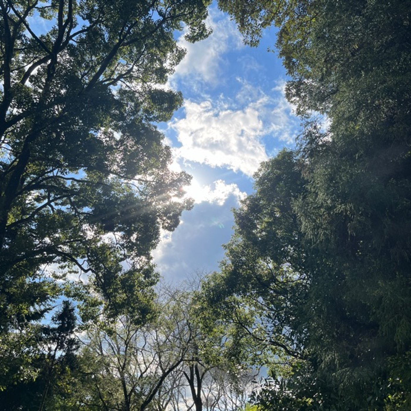 蛭児神社の空、今日の夜は霧島です。 episode artwork