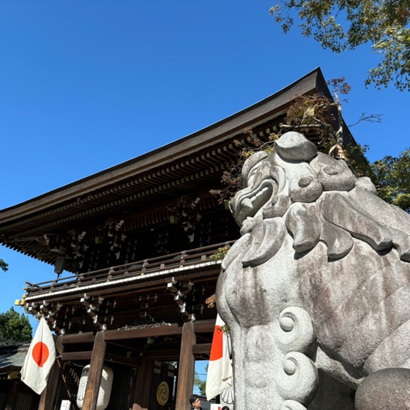 「言」11月12日の神様からのメッセージ