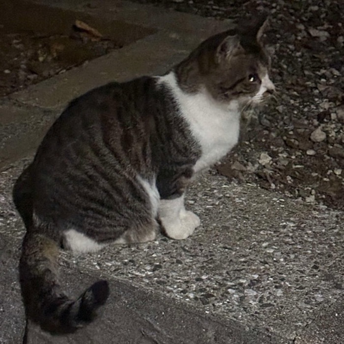 人間