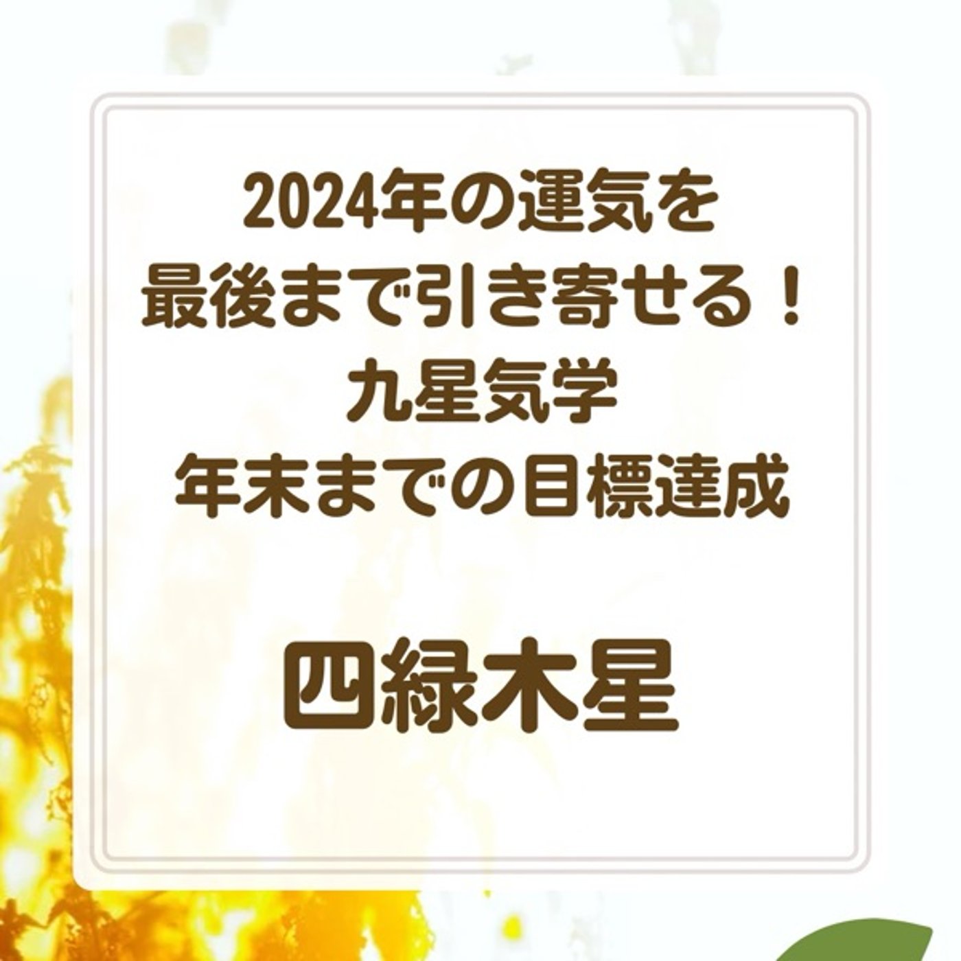 四緑木星　2024年の運気を最後まで引き寄せる❗️