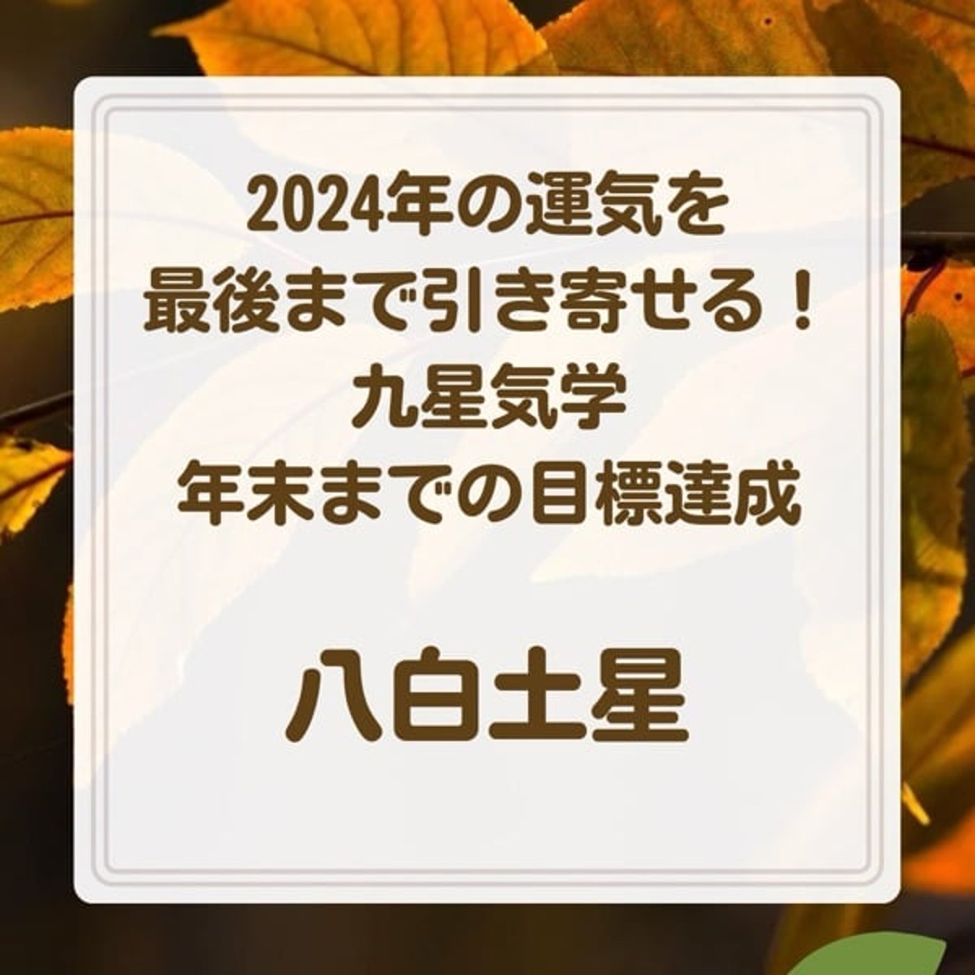 八白土星　2024年の運気を最後まで引き寄せる❗️
