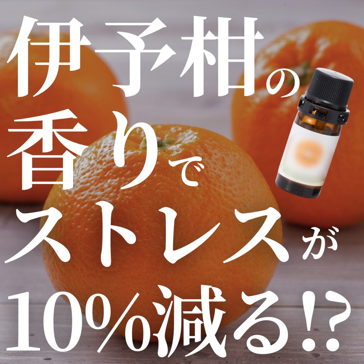 #396　伊予柑の香りでストレスが10％減る⁉︎