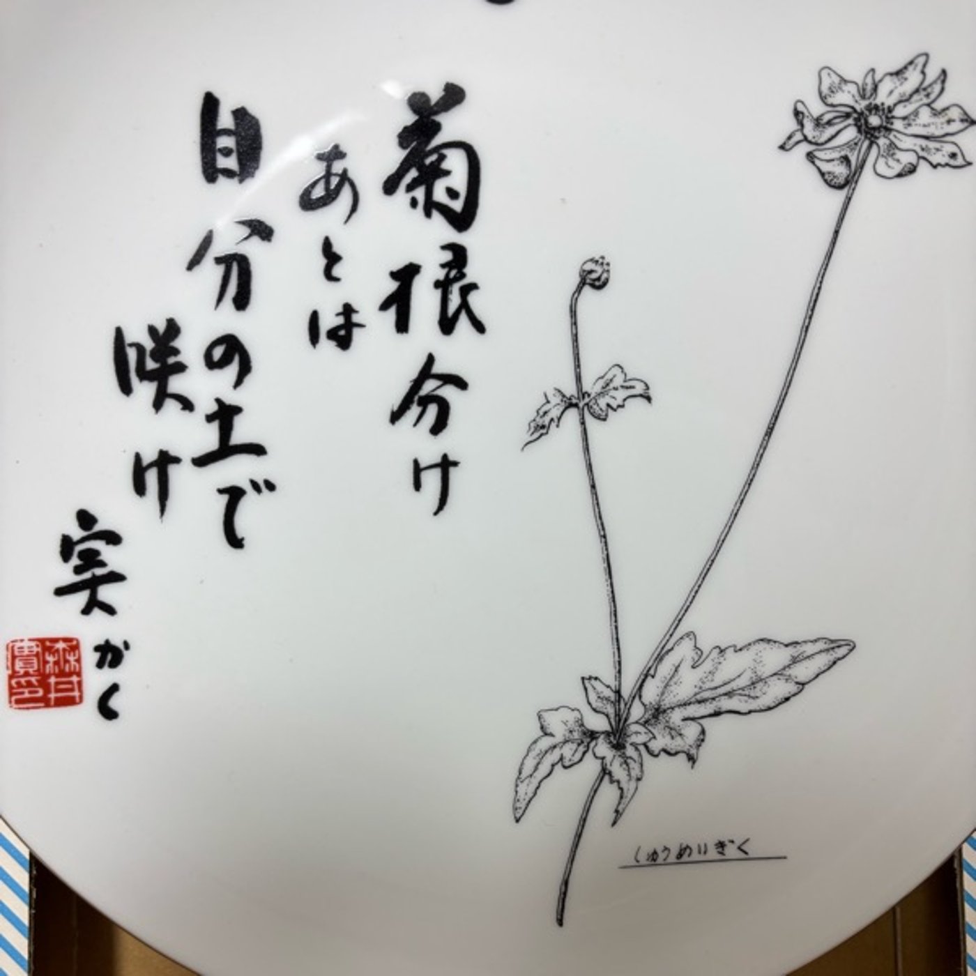 実家に置いてきたものってどんなものですか？