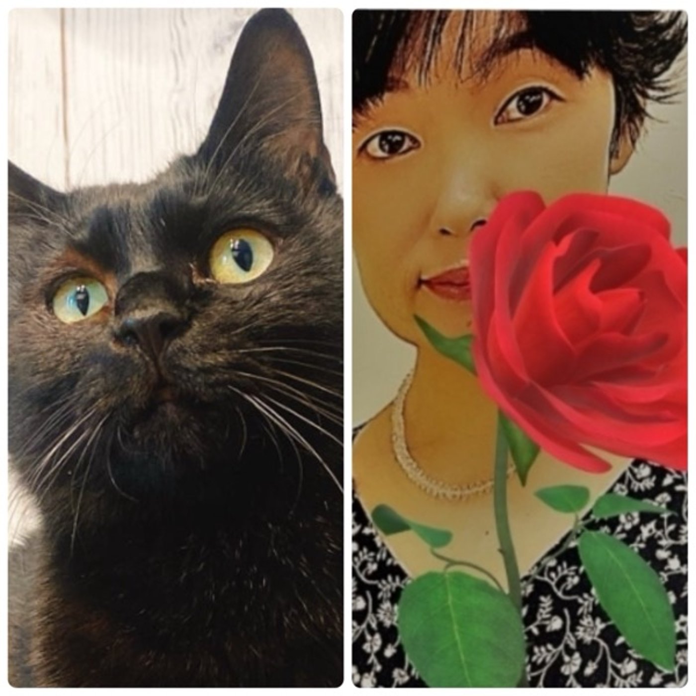 ゆきねこさんと場面緘黙症と紫微斗数