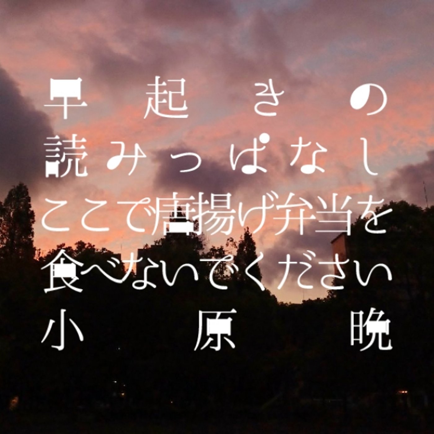 早起きの読みっぱなし｜「ここで唐揚げ弁当を食べないでください」小原晩 episode artwork
