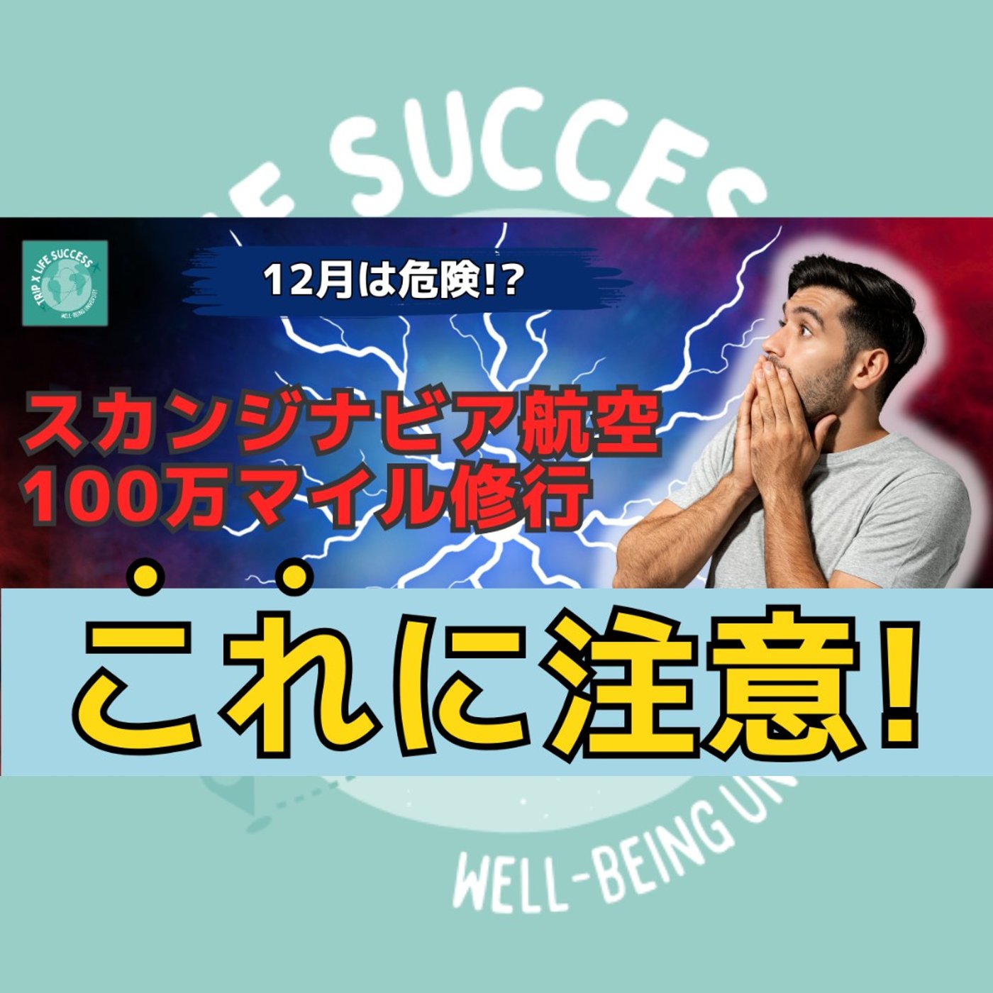 【もう手遅れ!?】スカンジナビア航空 100万マイル キャンペーン 注意点 episode artwork