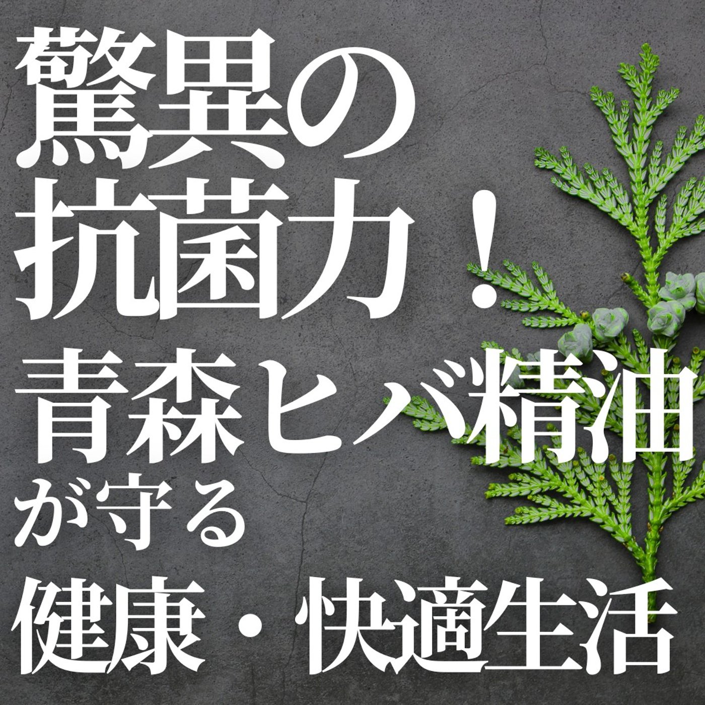 #399　驚異の抗菌力！青森ヒバが守る快適・健康生活 episode artwork