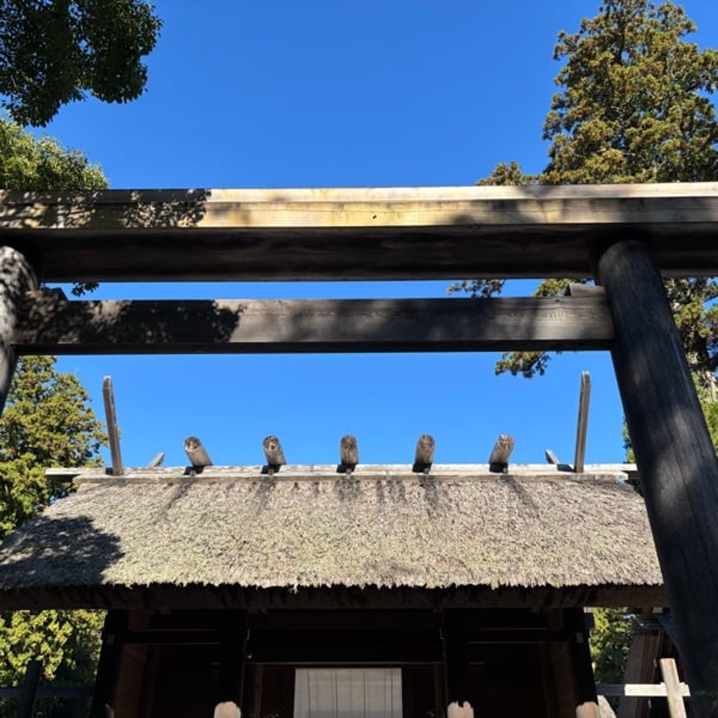 「授」12月8日の神様からのメッセージ