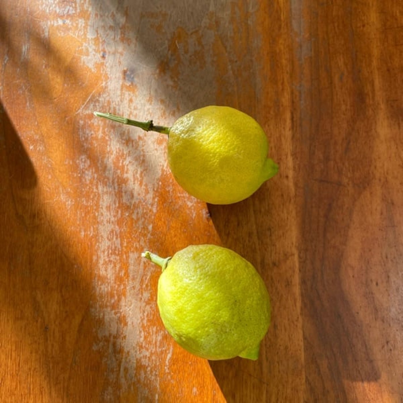 葉山niji🌈tomomi channel♡