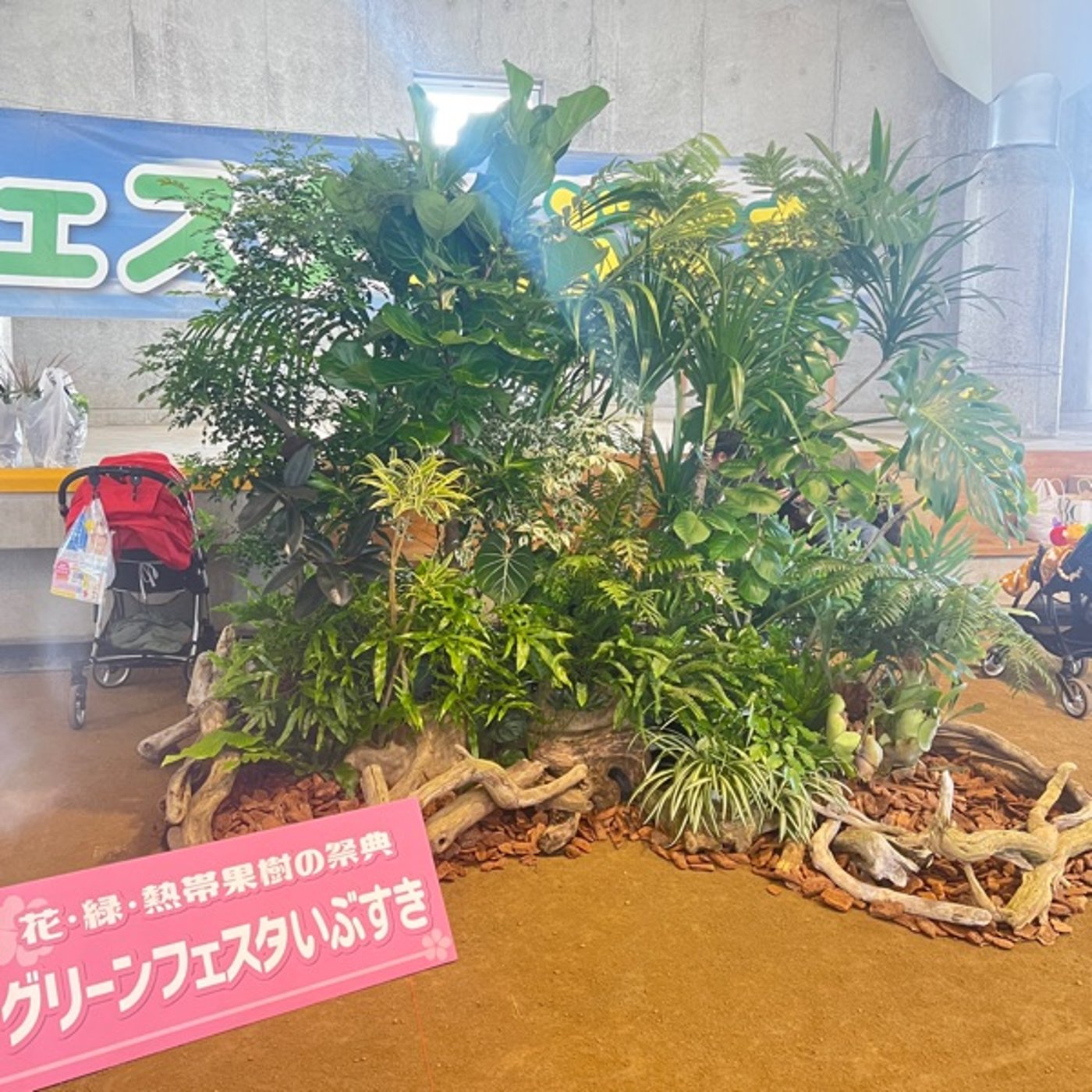 昨日のセッションの影響がジワジワと滲み出てきて、大きな変化が訪れたのたよ