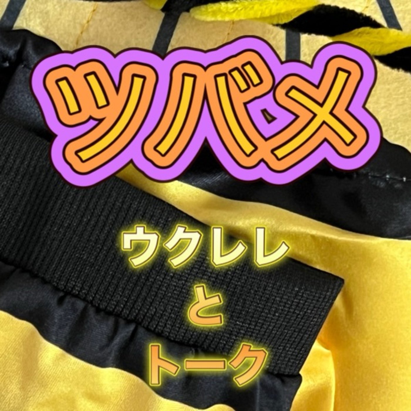 今日もライブ風で！コード自動発生の話 episode artwork
