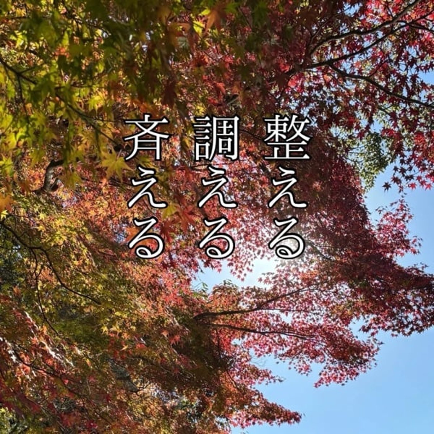 「ととのえる」について