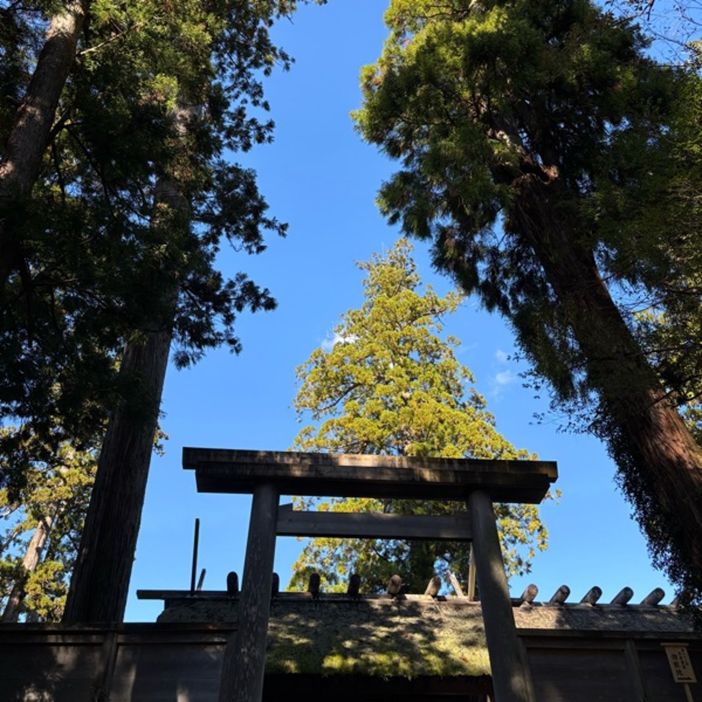 「活」12月12日の神様からのメッセージ