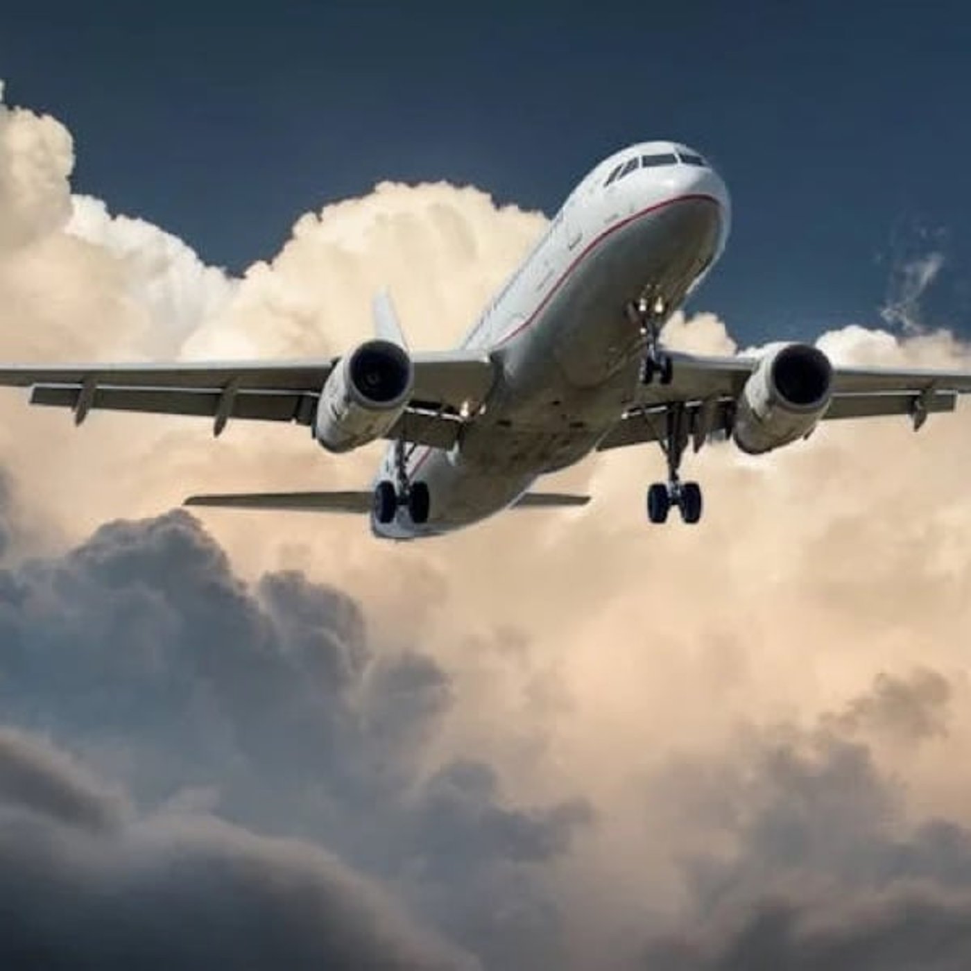 #66 沖縄行きの飛行機に乗り遅れた