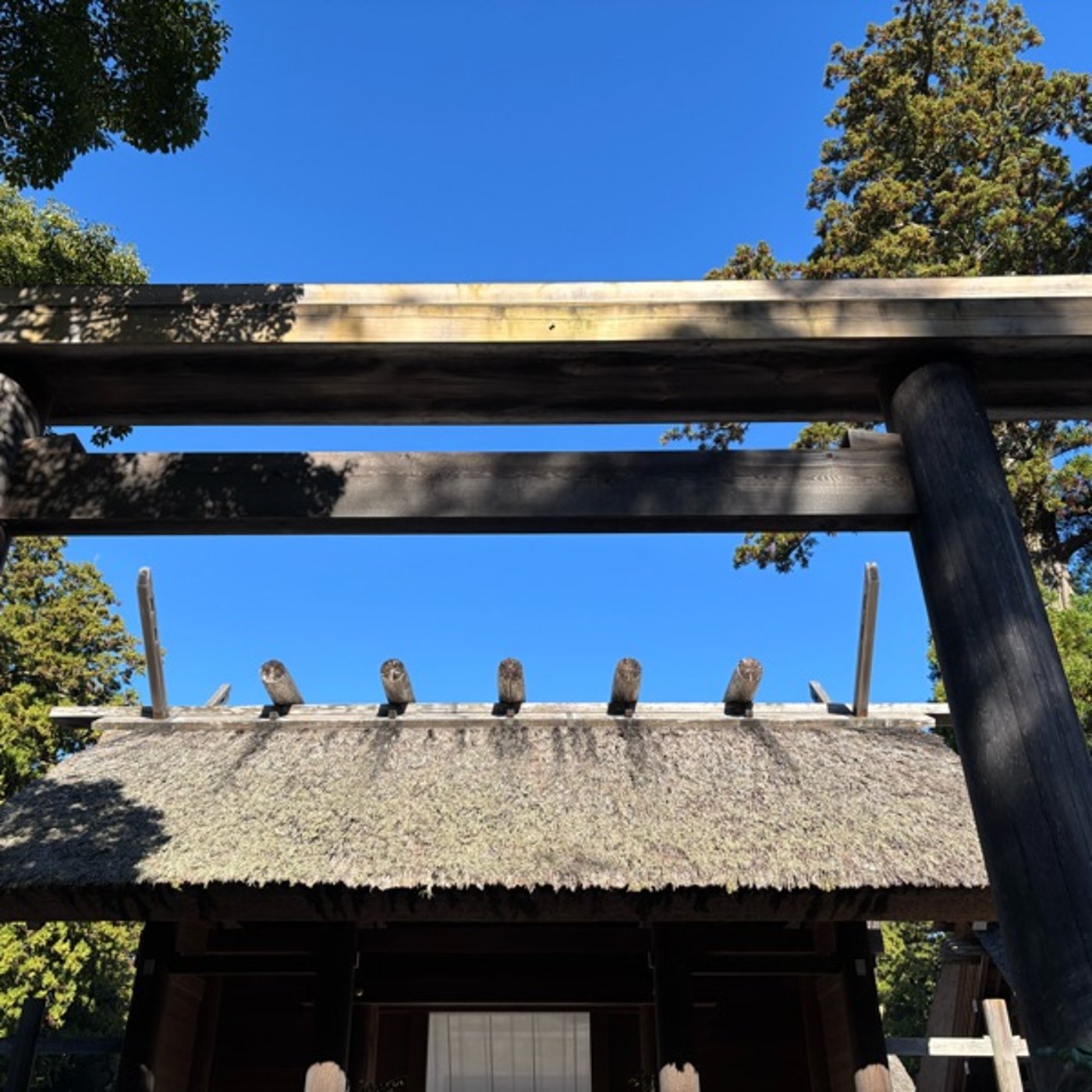「授」12月17日の神様からのメッセージ
