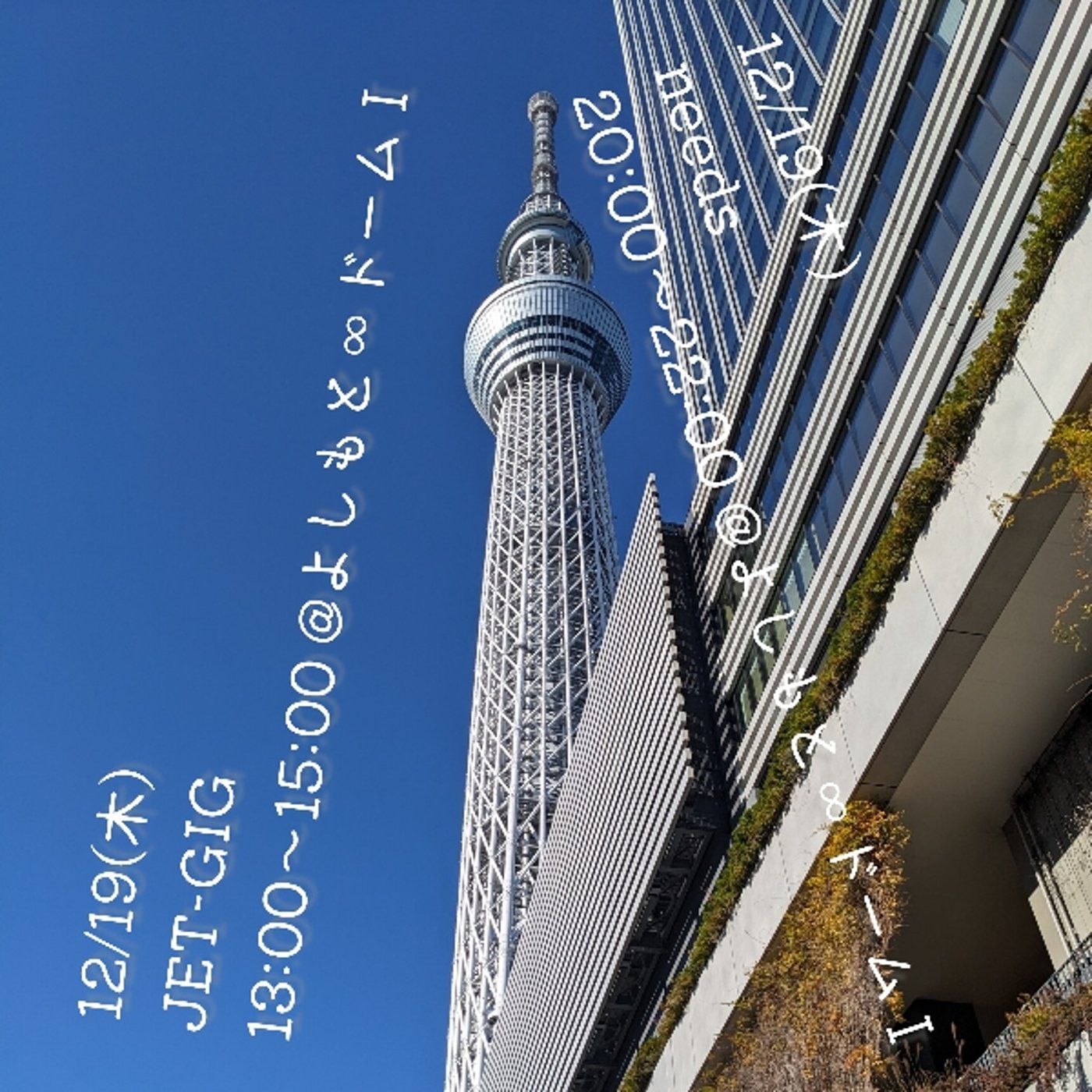 「月の影が餅をつくウサギでもカニでもなくそう見える地域もあるよね」