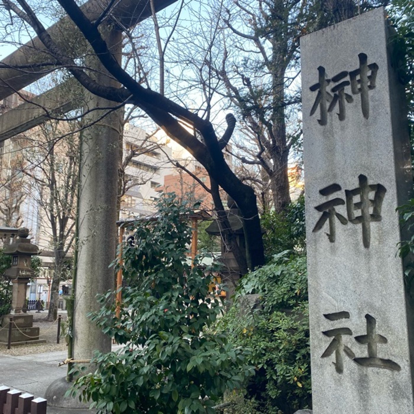 「欲」12月21日の神様からのメッセージ