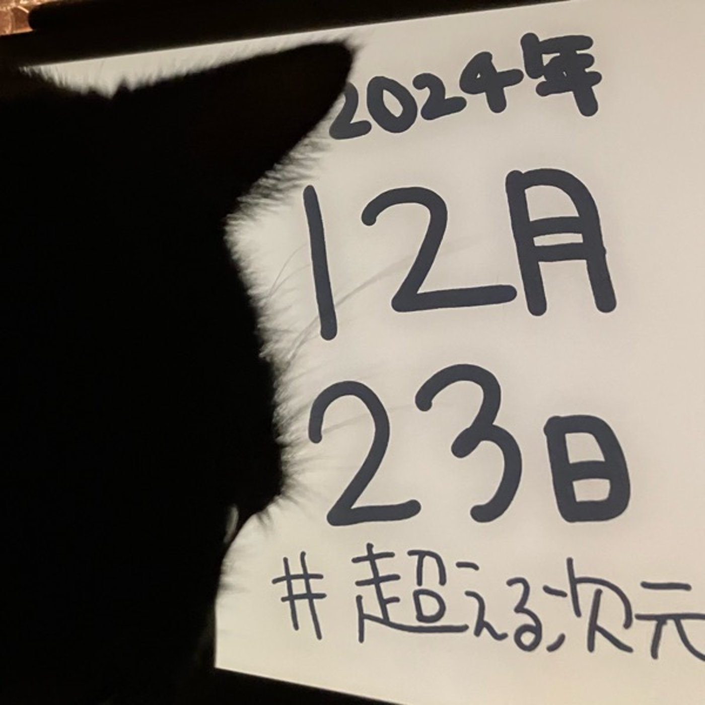2024/12/23の運勢（超次元占星術®︎） episode artwork
