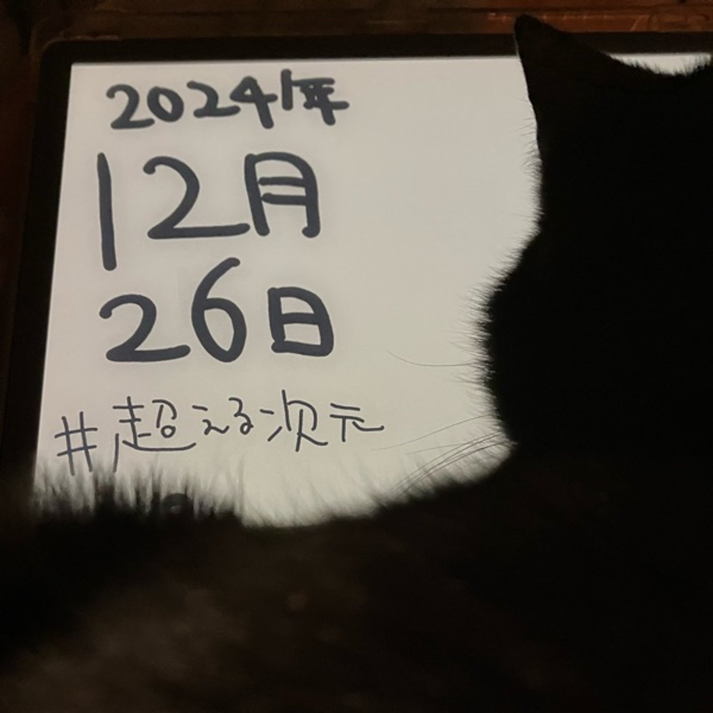 2024/12/26の運勢（超次元占星術®︎） episode artwork