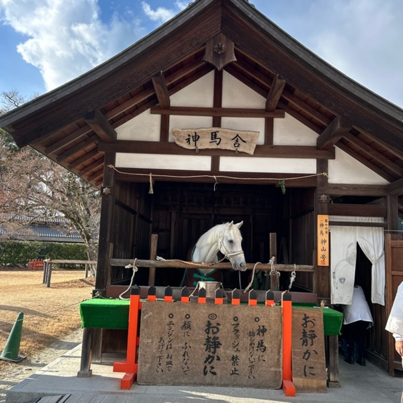 🌿上賀茂神社　神馬に episode artwork