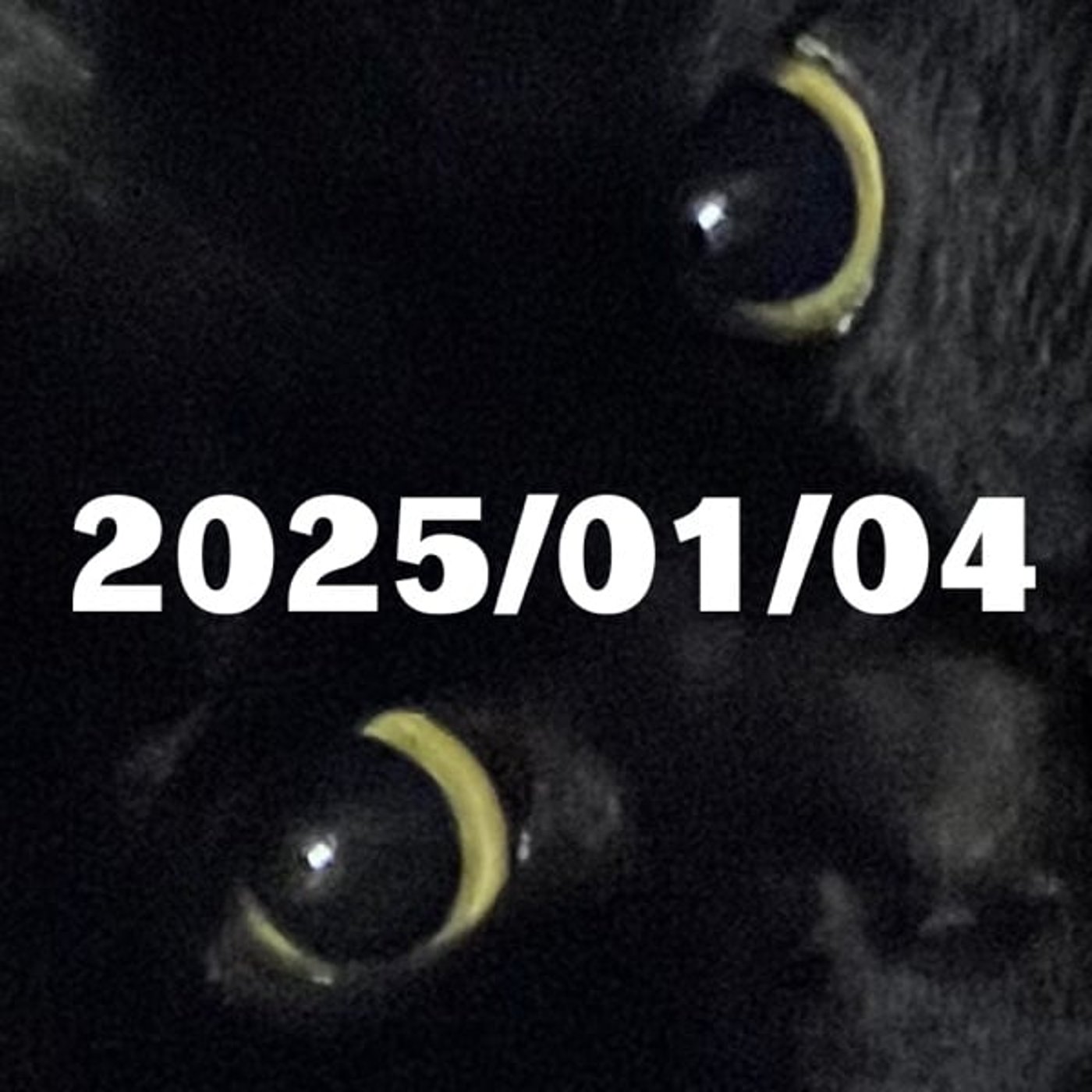 2025/01/04の運勢（超次元占星術®︎） episode artwork