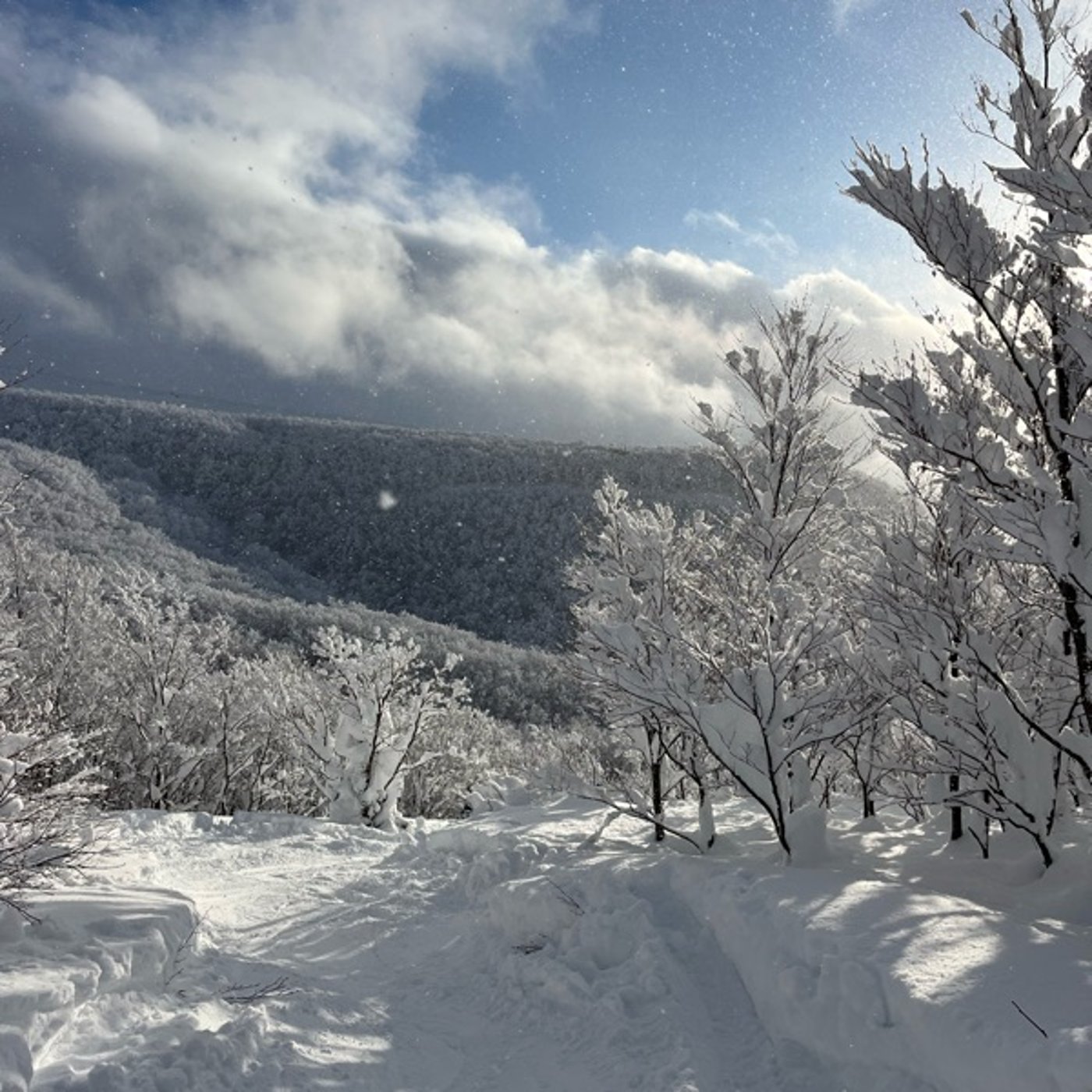 #0929 雪国暮らしはコストがかかります