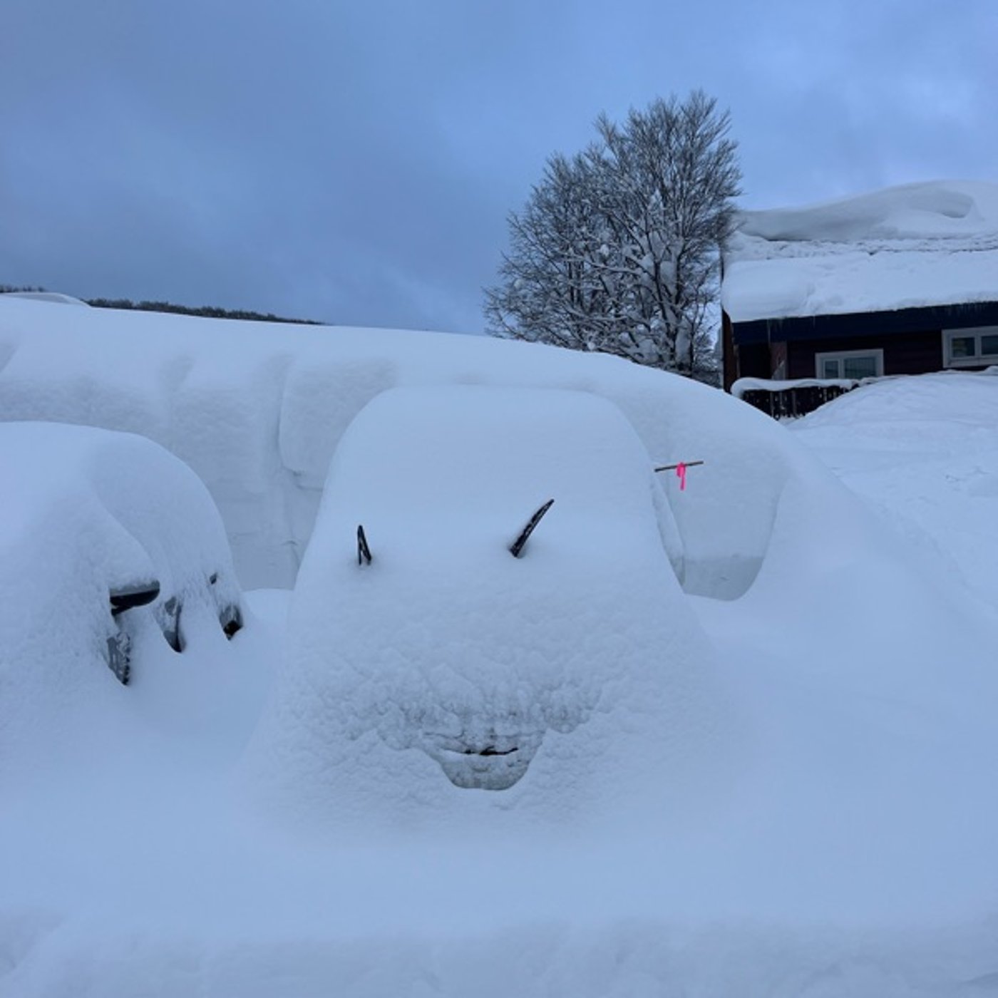 #0930 大雪と命を守る行動