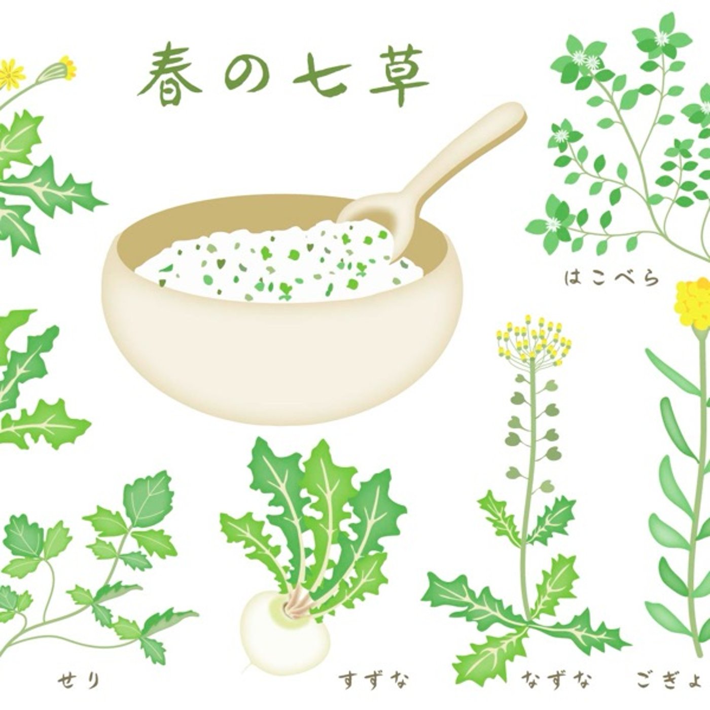 🌿小寒　二十四節気　少し胃腸を労りながら episode artwork