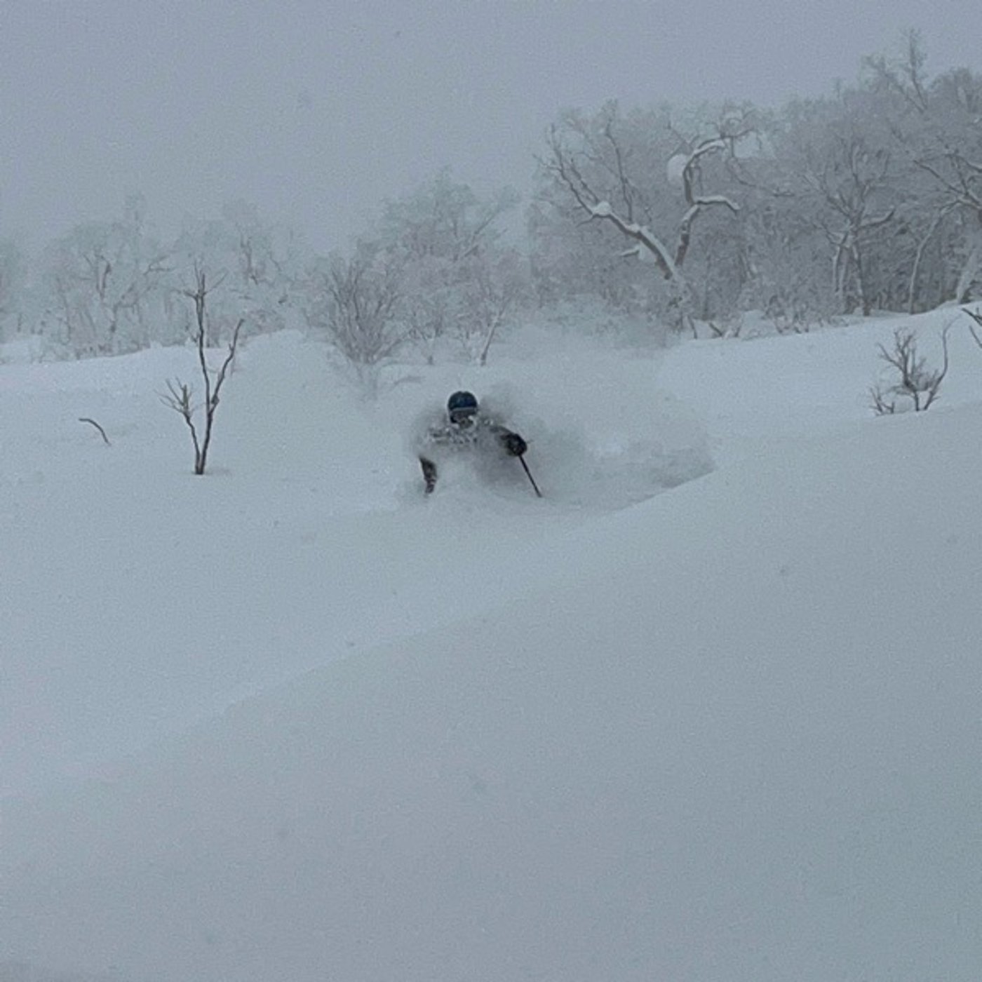 #0934 成人の日は雪が降る