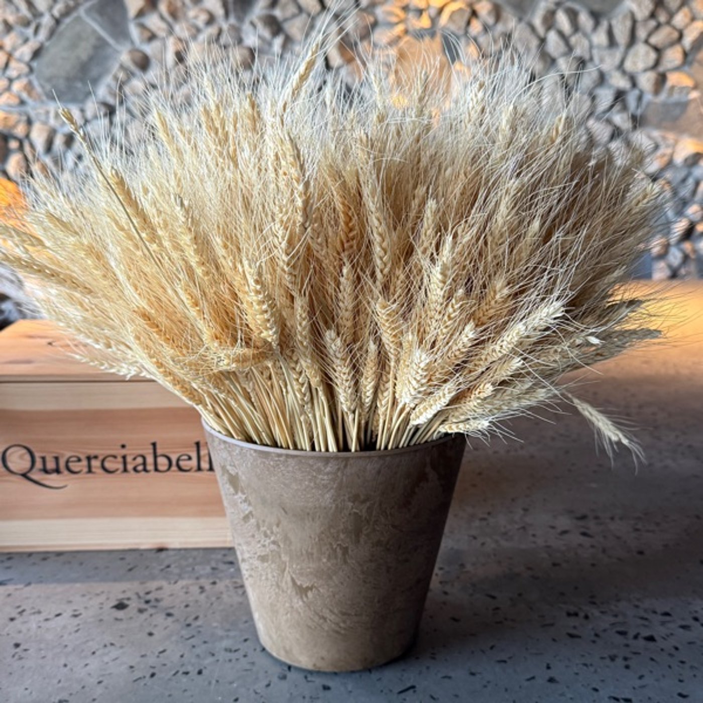 【1573回】🏫早期退職制度が終わるのか？雇う側からすれば episode artwork