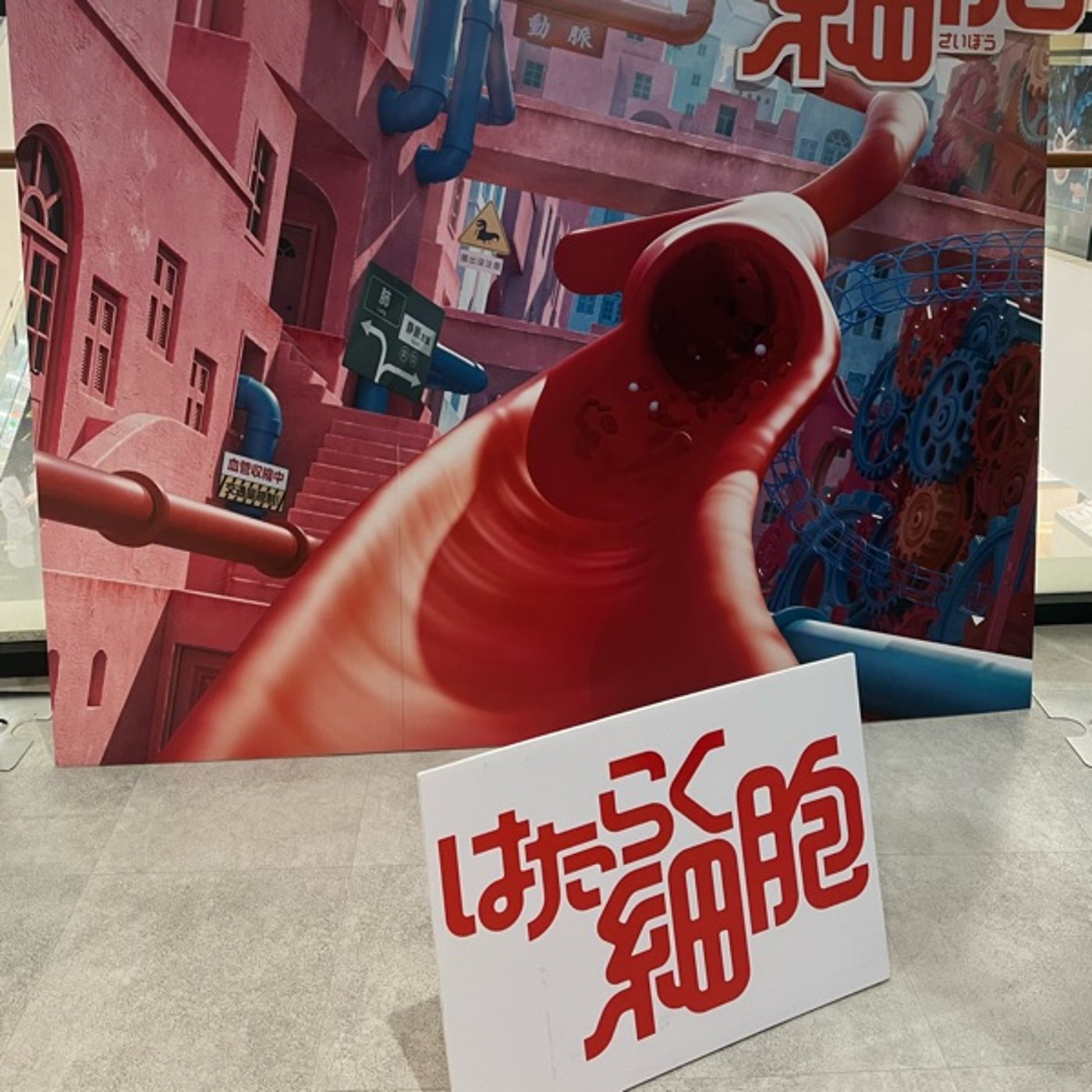 129 映画「はたらく細胞」を観てきました episode artwork