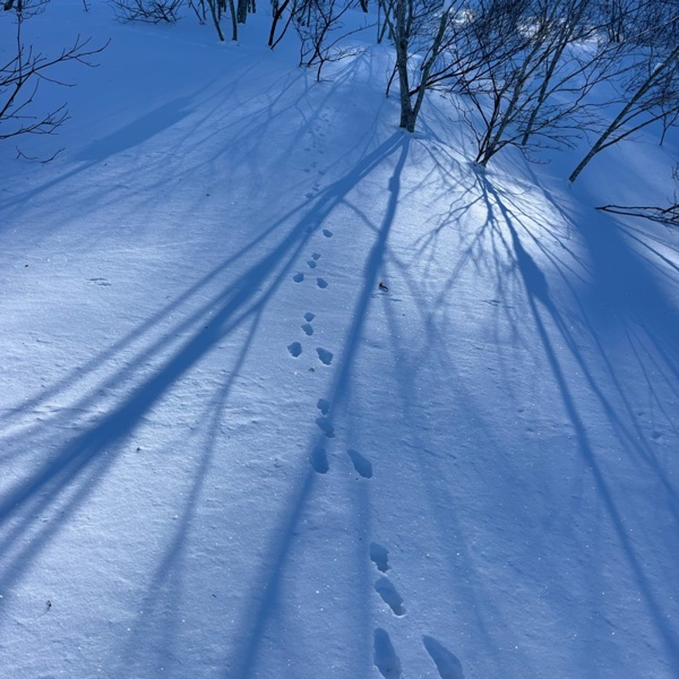 #0945 降っても晴れても夏油高原スキー場はハイレベル