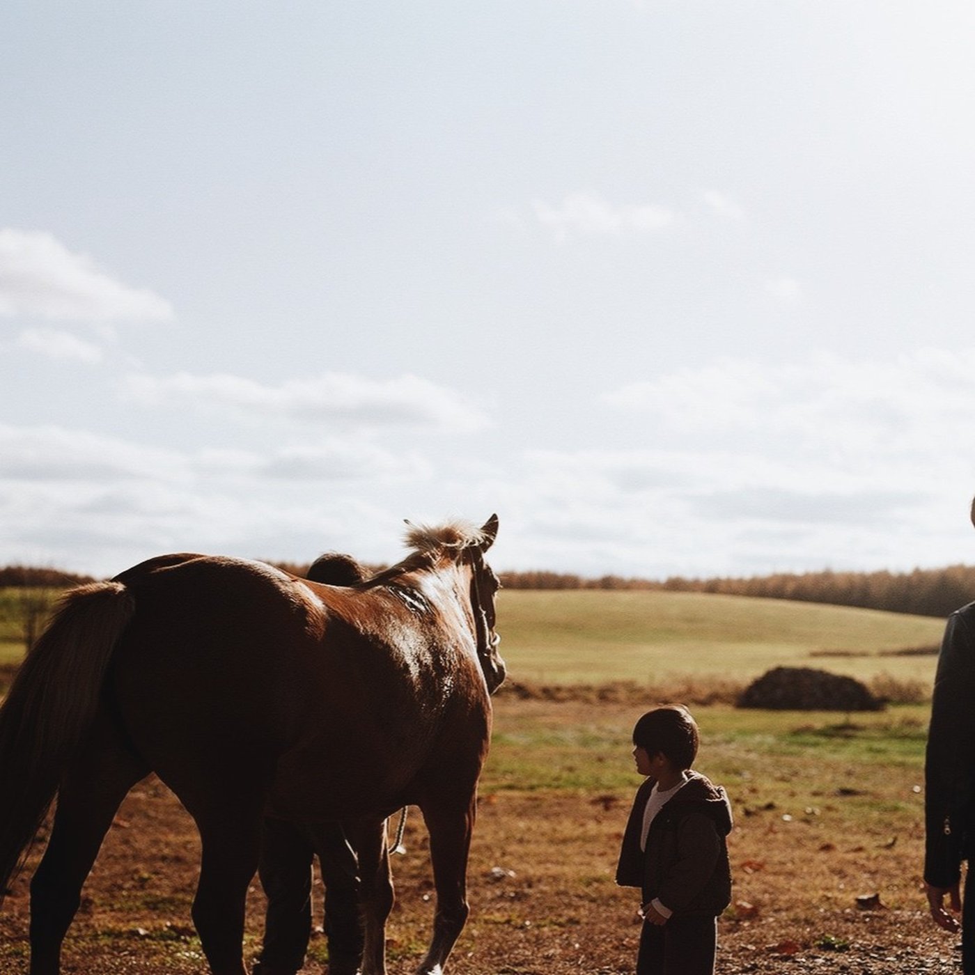 現代に求められる観光